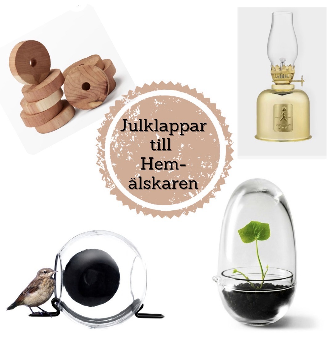 Julklapp till hem älskaren