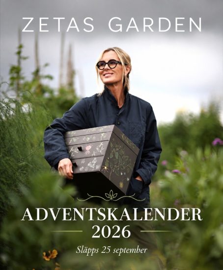 Zeta adventskalender 2026